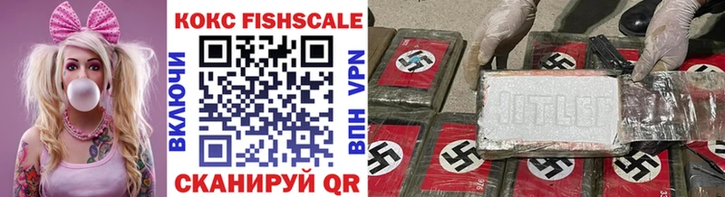 Купить закладки Нижние Серги Кокаин Fish Scale