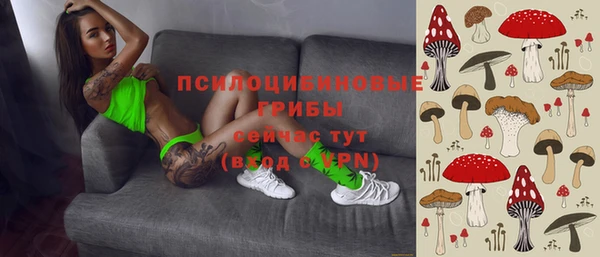 кристаллы Коряжма