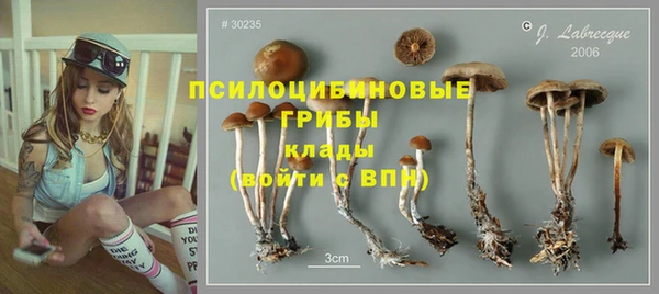 индика Корсаков