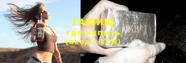 индика Корсаков