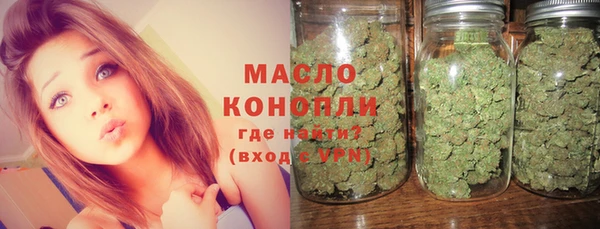 индика Корсаков
