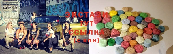 индика Корсаков